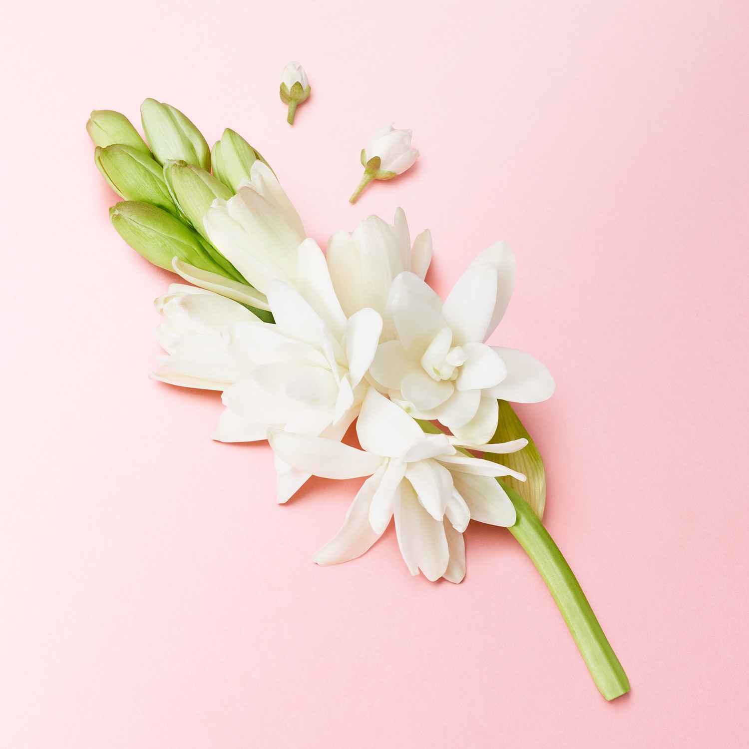 FRAGANCIA MY WAY FLORAL EAU DE PARFUM